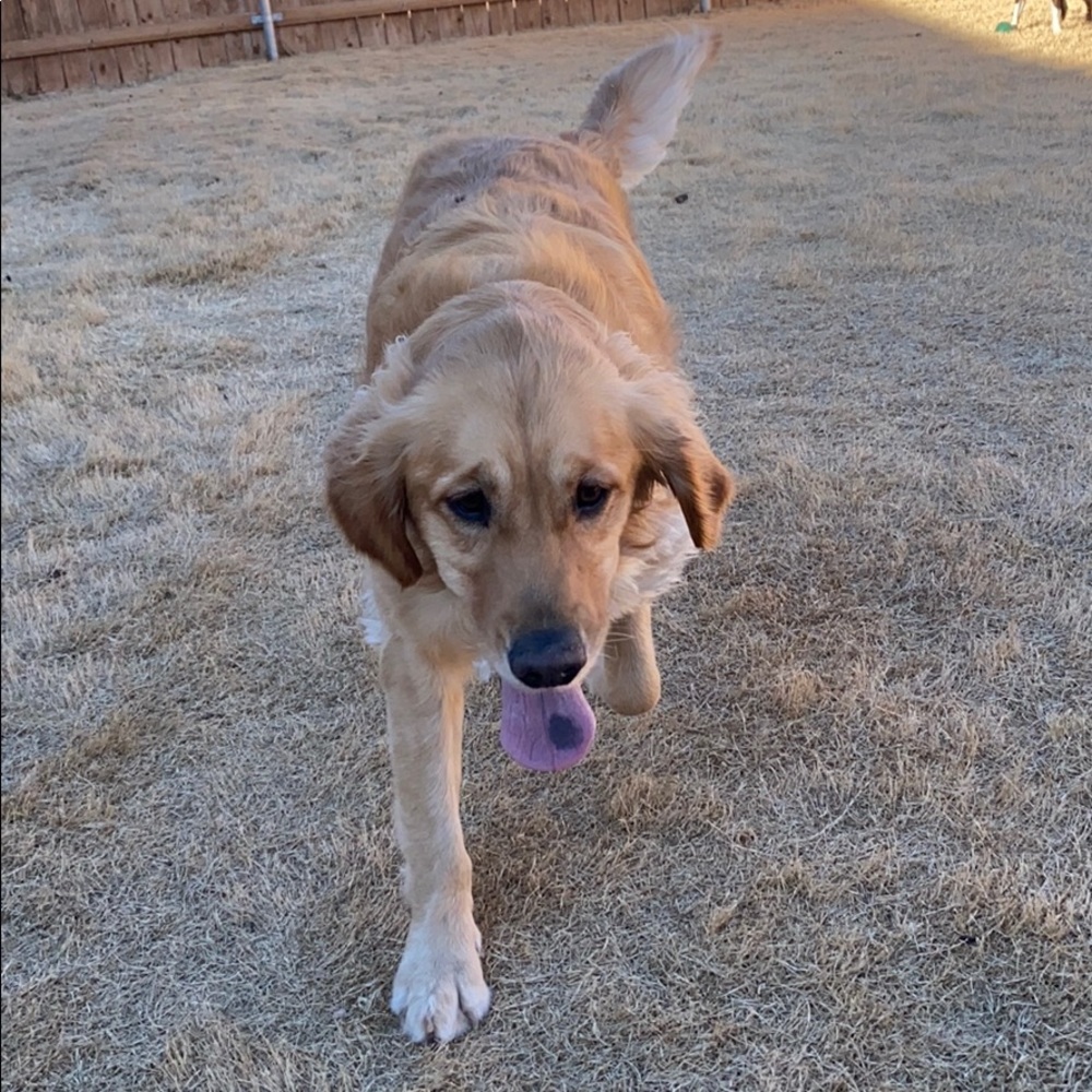 Meet your Posher, Carson